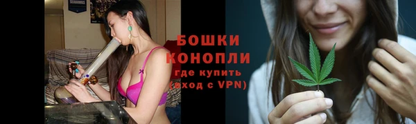 стафф Новодвинск