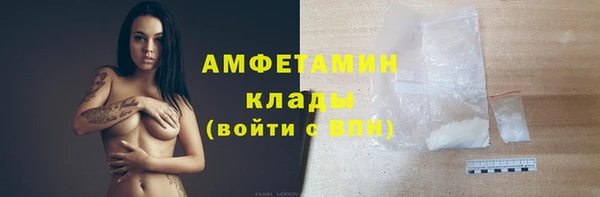 индика Новокубанск