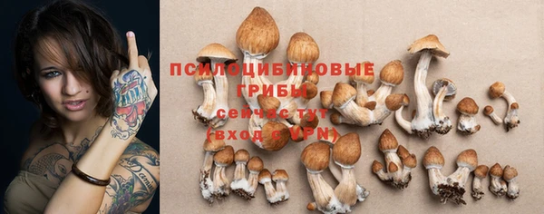 стафф Новодвинск