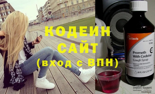 тгк Нея
