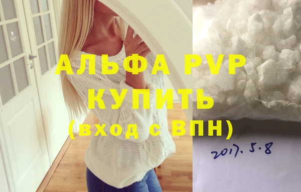 стафф Новодвинск