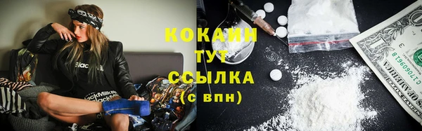тгк Нея