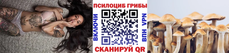 Галлюциногенные грибы Magic Shrooms  мега ССЫЛКА  Зубцов 